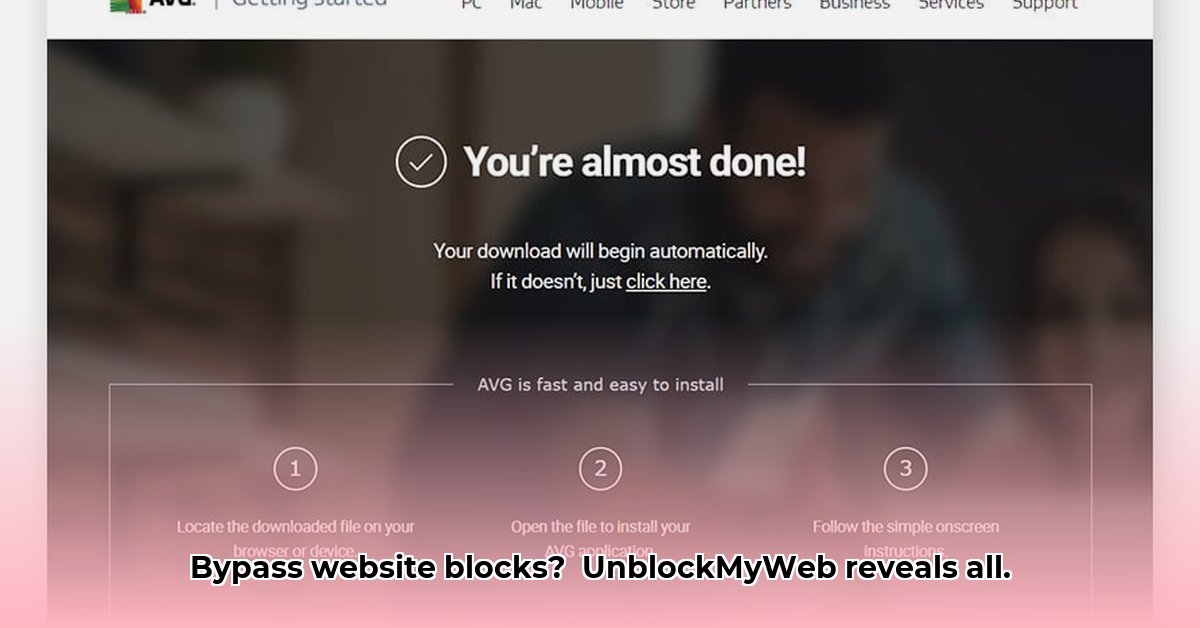 unblockmyweb